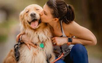 Amiamo gli animali più degli uomini