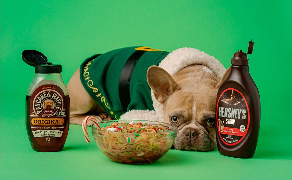 Natale con micio e fido, cibi tossici per i gatti