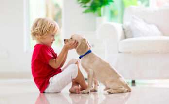 Bambino che accarezza un cucciolo in casa: immagine simbolica della relazione tra cane e bambino e del desiderio di adottare un cane in famiglia.