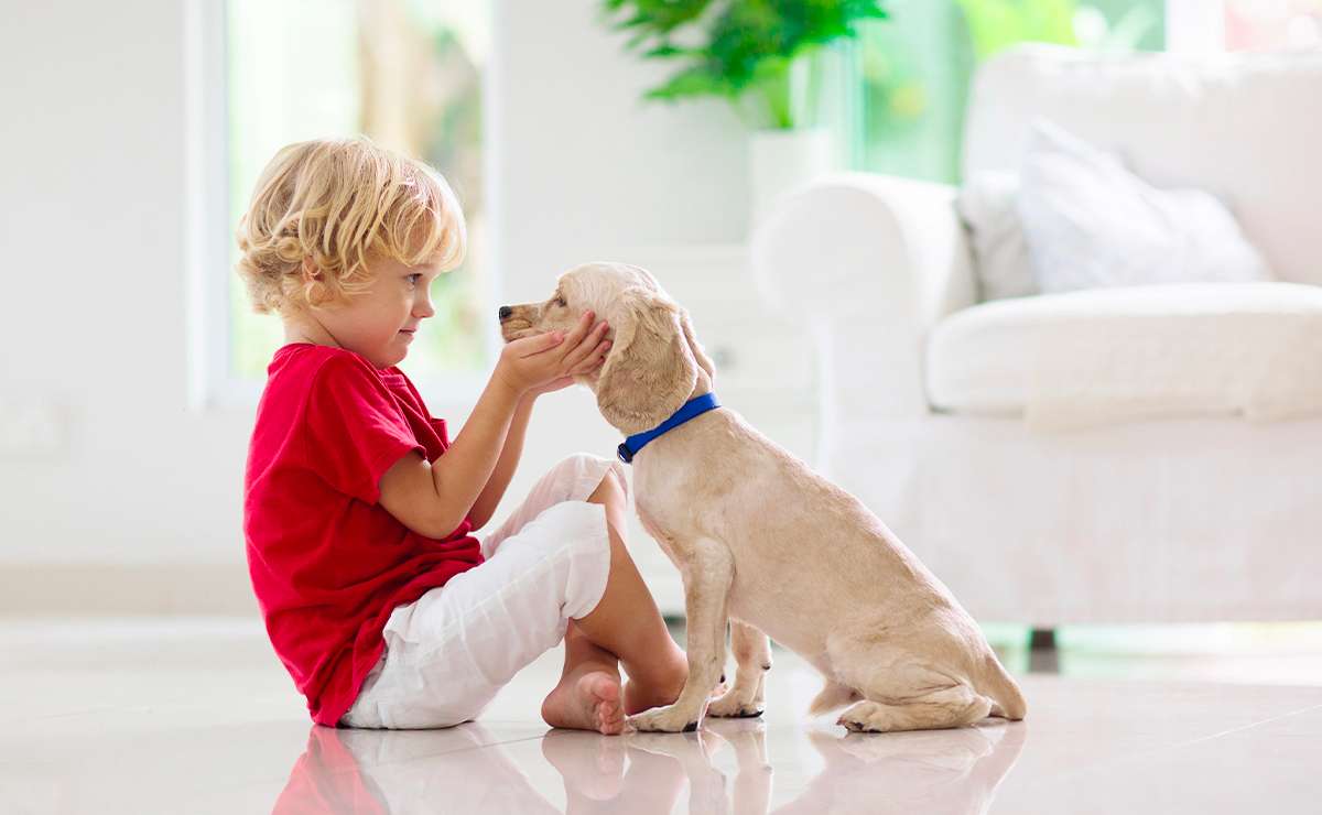 Bambino che accarezza un cucciolo in casa: immagine simbolica della relazione tra cane e bambino e del desiderio di adottare un cane in famiglia.