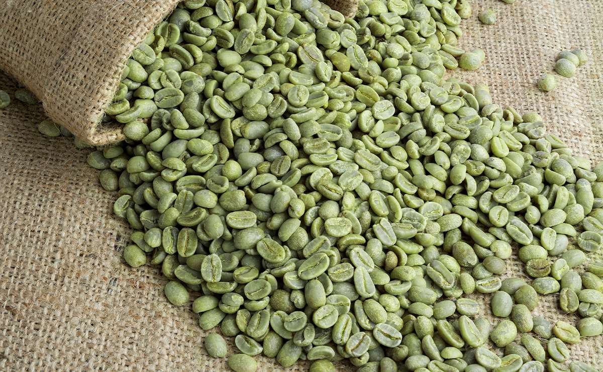 Chicchi di caffè verde non tostati sparsi su un sacco di juta, rappresentano il caffè crudo ricco di acido clorogenico e dai numerosi benefici per la salute.