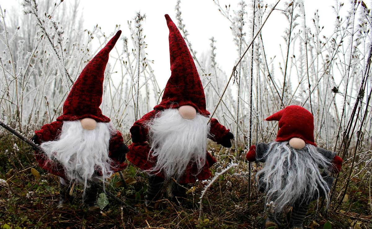 tre folletti di peluche con la barba lunga e bianca e i capelli rossi a punta, nel bosco.