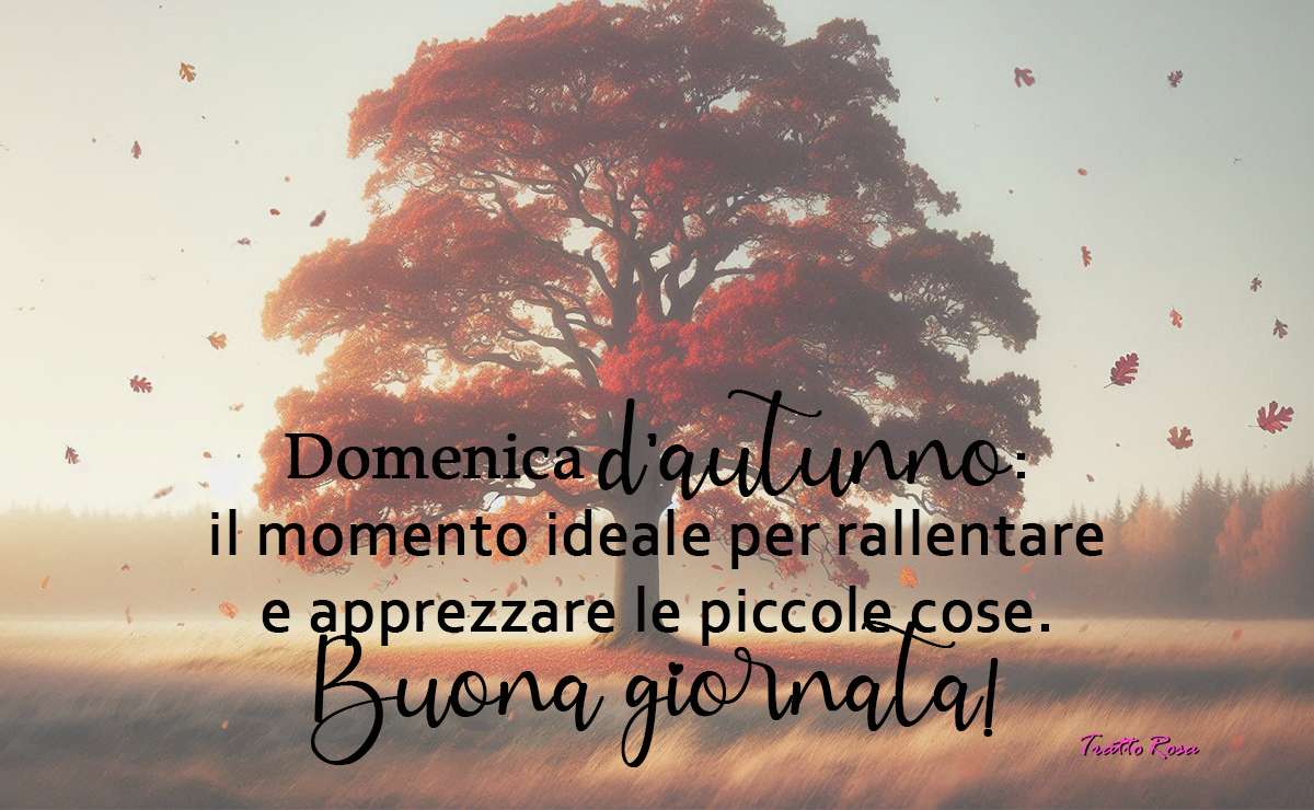 Domenica d’autunno: il momento ideale per rallentare e apprezzare le piccole cose. Buona giornata!