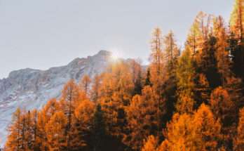 Paesaggio autunnale con alberi dai colori dorati e arancioni in primo piano, montagne innevate sullo sfondo e sole che tramonta dietro le cime.