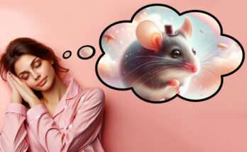 donna dorme e sogna topi