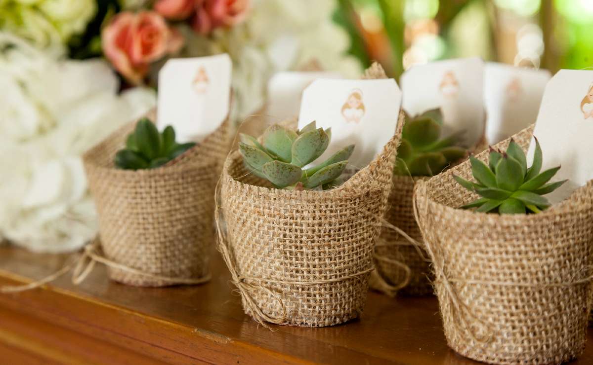 Bomboniere solidali per comunione: piccole piante grasse confezionate in sacchetti di juta con bigliettini personalizzati, disposte su un tavolo decorato con fiori.