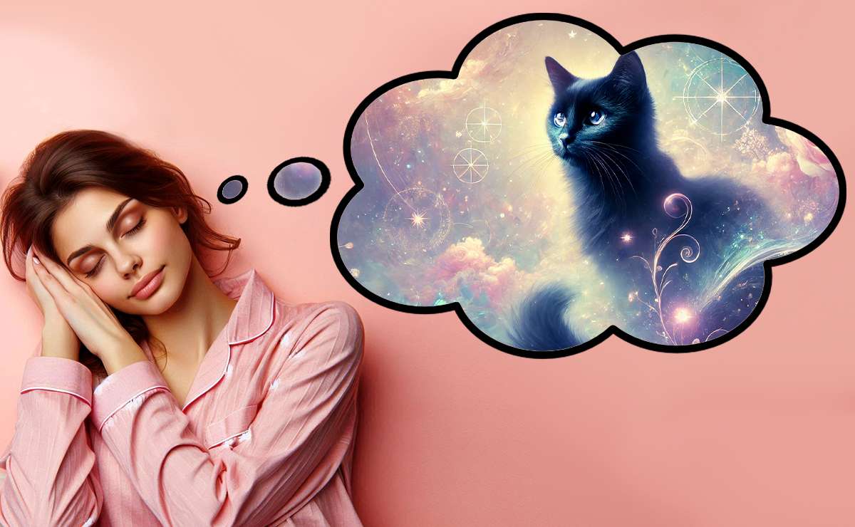 Donna che sogna un gatto nero in un'ambientazione onirica con colori pastello e simboli mistici, che evocano mistero e introspezione.
