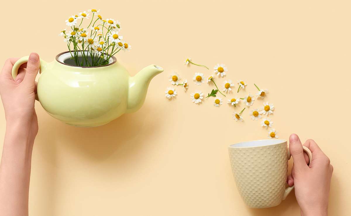 Teiera verde con fiori di camomilla al posto del tè, tazza coordinata e sfondo beige. 