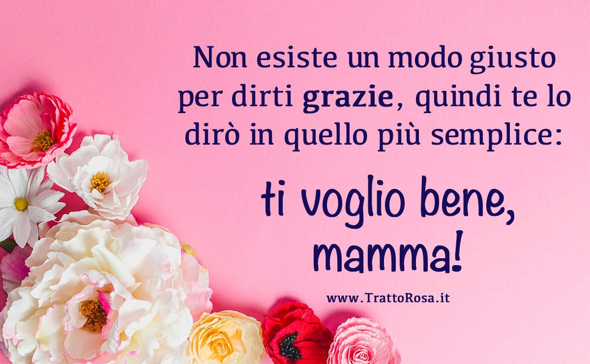 Frase di auguri per la Festa della Mamma su sfondo rosa con fiori colorati: ‘Non esiste un modo giusto per dirti grazie, quindi te lo dirò in quello più semplice: ti voglio bene, mamma!’.