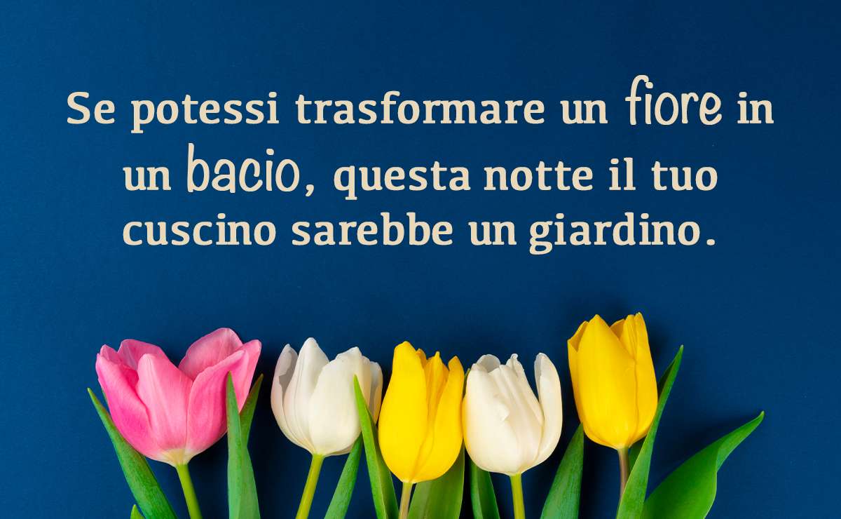 Tulipani colorati su sfondo blu con frase romantica: ‘Se potessi trasformare un fiore in un bacio, questa notte il tuo cuscino sarebbe un giardino’