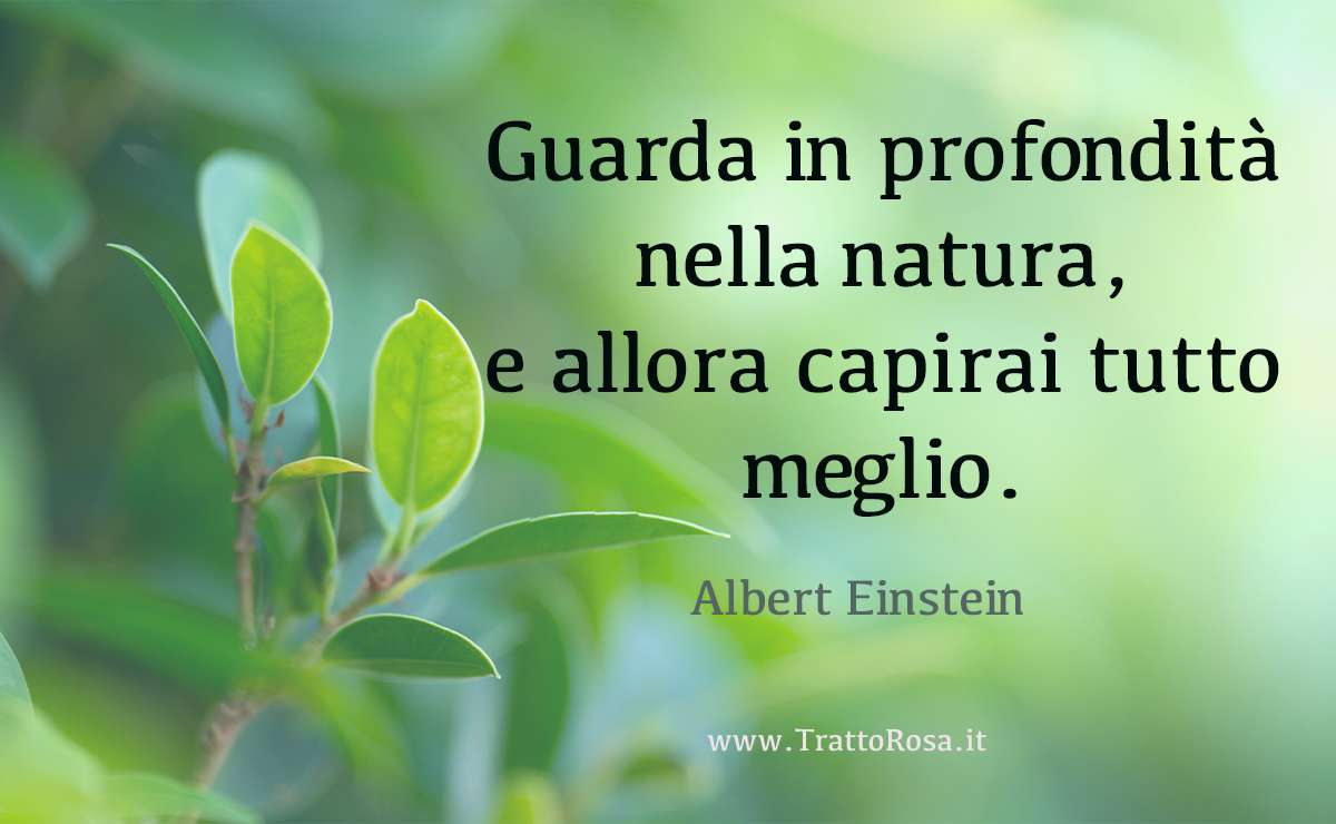 foglie verdi in primo piano e la citazione sulla natura: guarda in profondità nella natura, e allora capirai tutto meglio.
