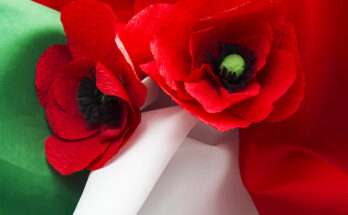 Papaveri rossi su tessuto tricolore italiano, simbolo della Resistenza e della Festa della Liberazione del 25 aprile.