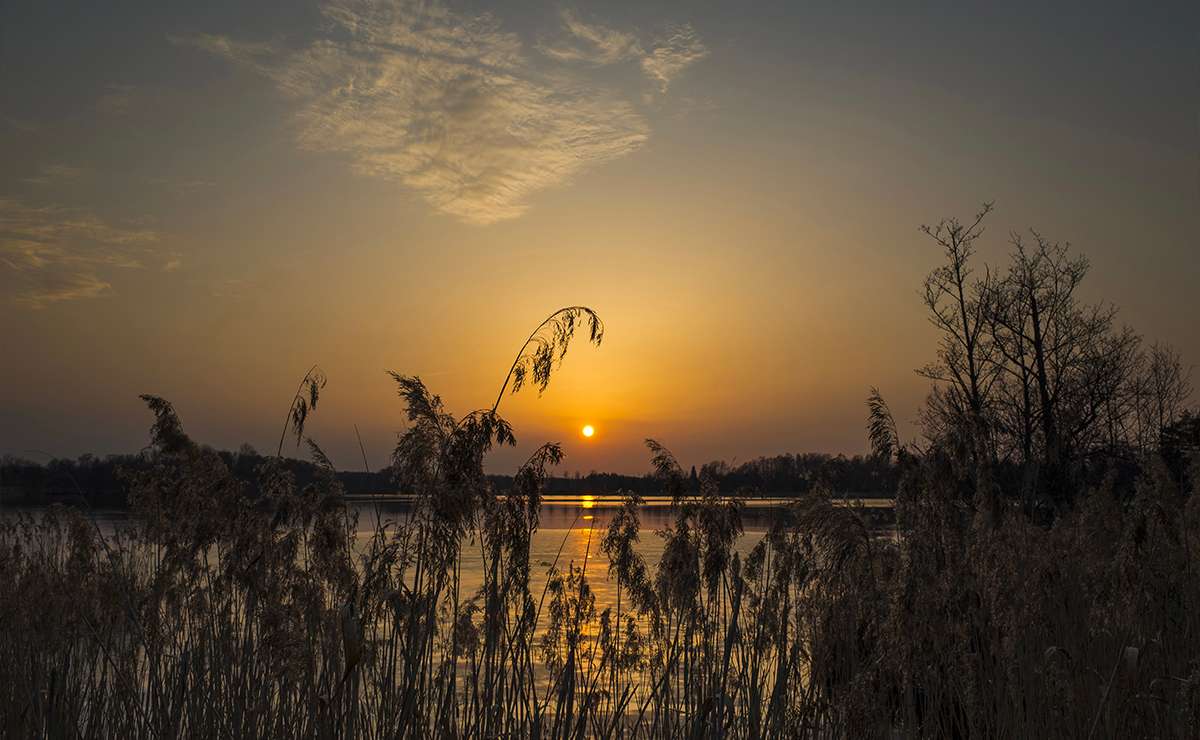 Tramonto dorato sul lago con riflessi sull’acqua e canne in primo piano
