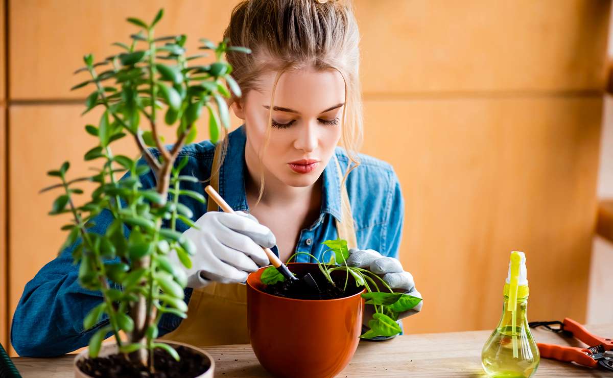 Giovane donna che pratica ortoterapia in casa, concentrata mentre cura una pianta in vaso con guanti e piccoli attrezzi da giardinaggio terapeutico.