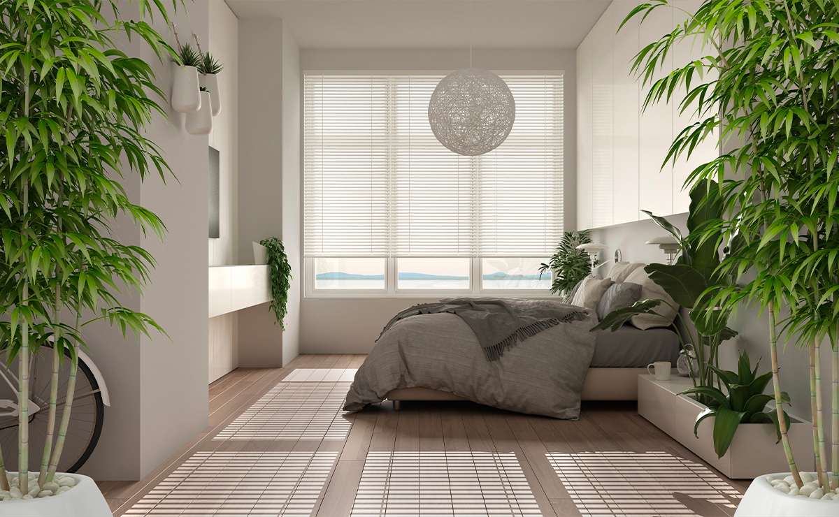 camera da letto arredata secondo il Feng Shui in un piccolo appartamento: pianta verde, luce naturale e ordine armonico in uno spazio moderno