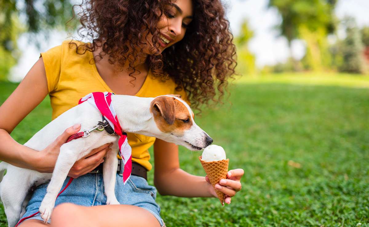 Donna offre un gelato al proprio cane durante una giornata estiva al parco, gesto affettuoso ma potenzialmente rischioso per l’alimentazione del cane in estate.