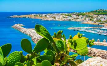Veduta panoramica di un porticciolo turistico in Puglia con fichi d’India in primo piano, mare turchese, barche ormeggiate e case bianche sullo sfondo.