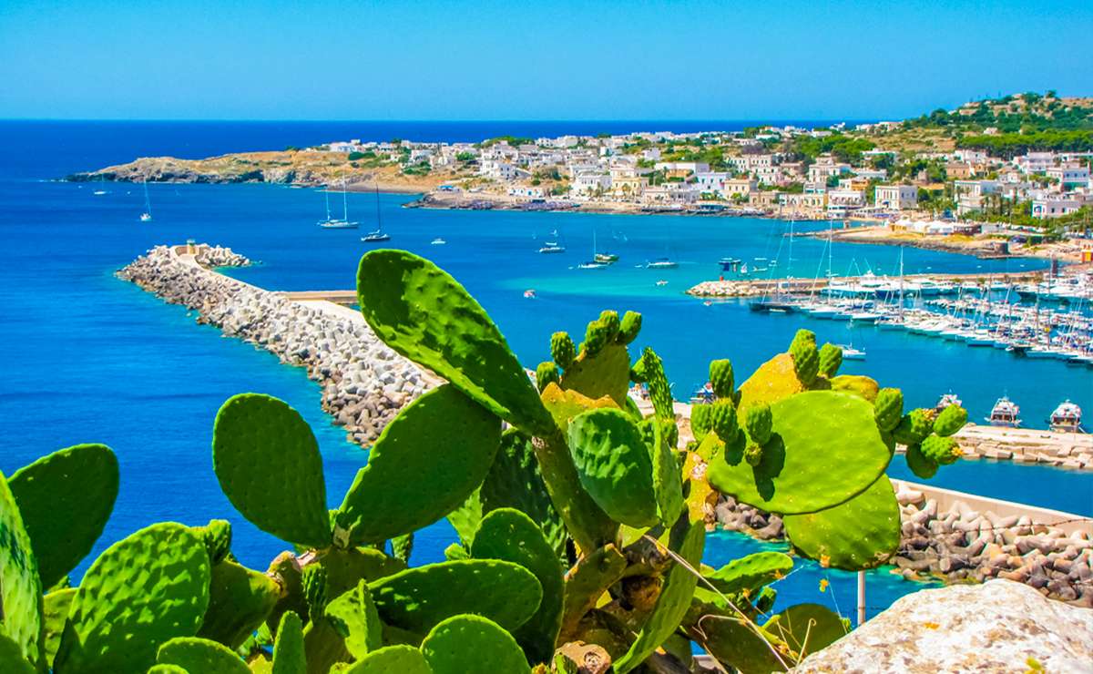 Veduta panoramica di un porticciolo turistico in Puglia con fichi d’India in primo piano, mare turchese, barche ormeggiate e case bianche sullo sfondo.