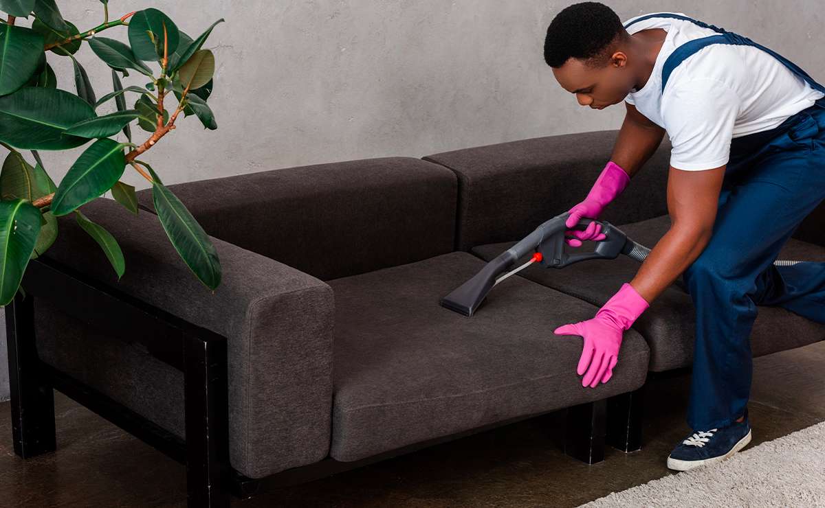 uomo con guanti rosa che pulisce un divano in tessuto scuro con un aspiratore professionale in un salotto moderno