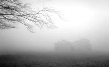 Paesaggio avvolto nella nebbia con un casolare di campagna sullo sfondo