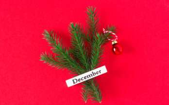 Ramoscello di abete con piccola pallina rossa e cartoncino con la scritta December su sfondo rosso