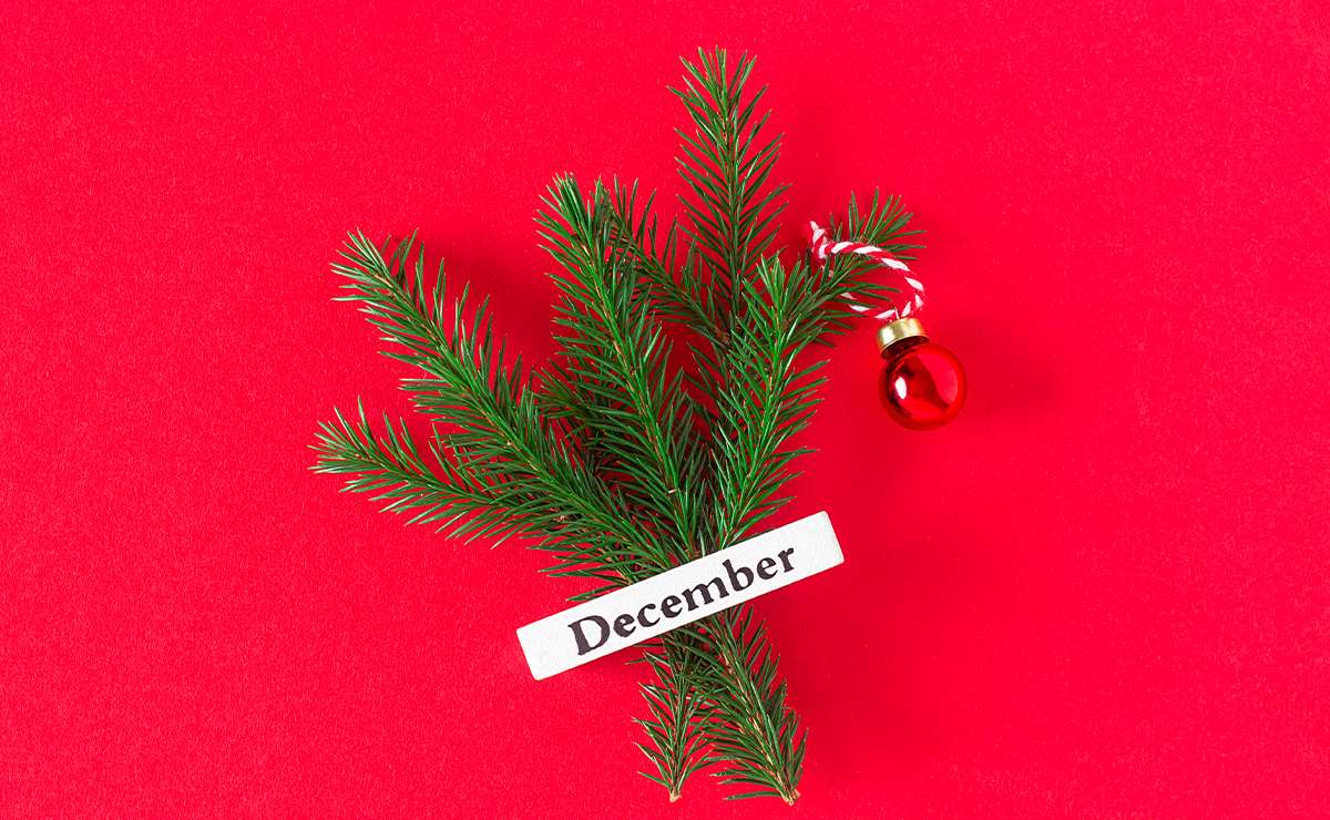 Ramoscello di abete con piccola pallina rossa e cartoncino con la scritta December su sfondo rosso