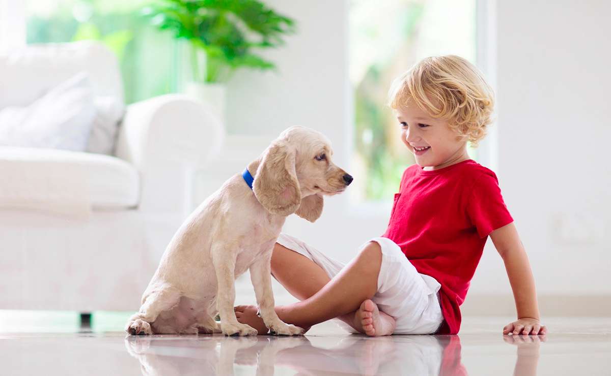 Bambino seduto sul pavimento di casa mentre interagisce con un cucciolo