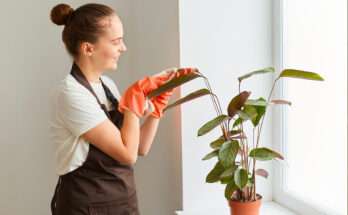 Donna con guanti arancioni pulisce le foglie di una pianta in vaso vicino alla finestra