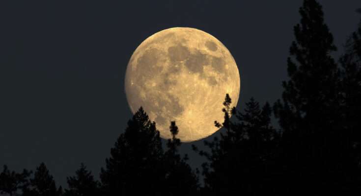 Luna piena nel cielo notturno